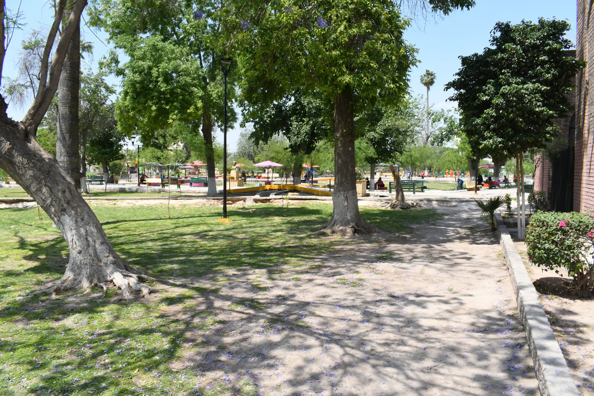 Senderos y Escapadas Naturales Cerca de Torreón
